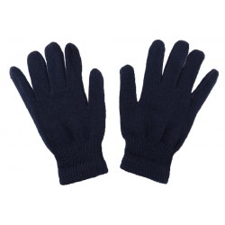 Gants uni Femme Bleu Marine ANCIENNES COLLECTIONS divers