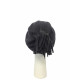 Casquette Céline Robert Corentine Anthracite ANCIENNES COLLECTIONS divers